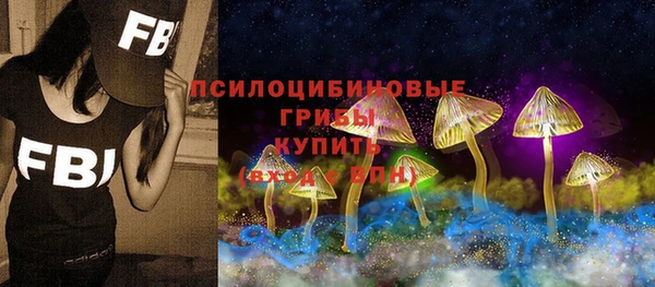 молекула духа Армянск