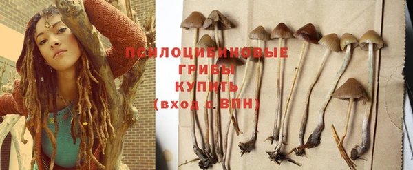 соль курить ск Аркадак