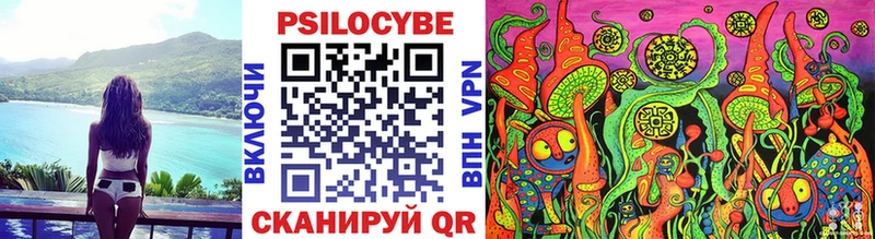 Галлюциногенные грибы MAGIC MUSHROOMS  где купить наркоту  Козьмодемьянск 
